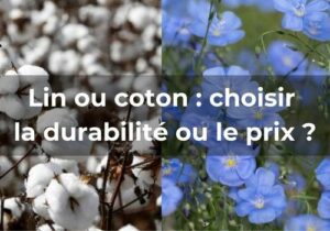 Lire la suite à propos de l’article Lin ou coton : choisir la durabilité ou le prix ?